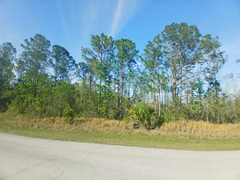 single-family-home-lot